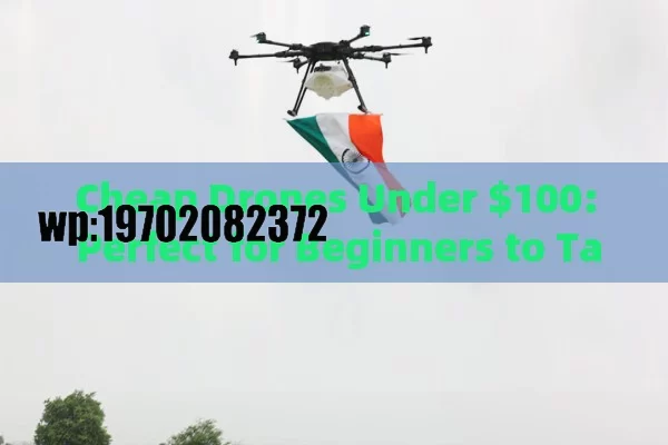 Cheap Drones Under $100: Perfect for Beginners to Take Flight!