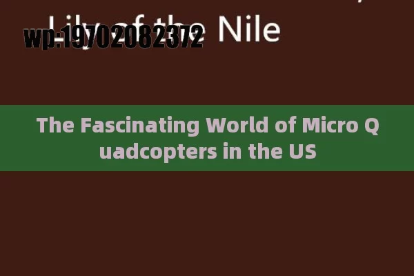 The Fascinating World of Micro Quadcopters in the US