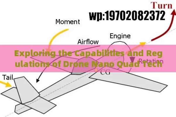 Exploring the Capabilities and Regulations of Drone Nano Quad Technology