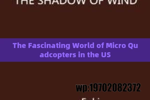 The Fascinating World of Micro Quadcopters in the US